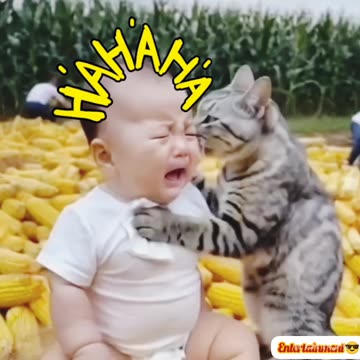 Viral🔥 funny😝 video