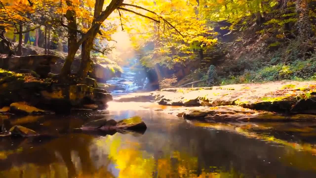 Enchanting Autumn Forests with Beautiful Piano Music