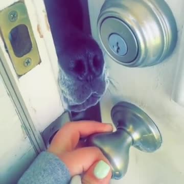 Move on Lil doggy 🐶🐕‍🦺🦴