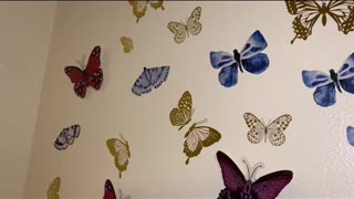 Butterflies