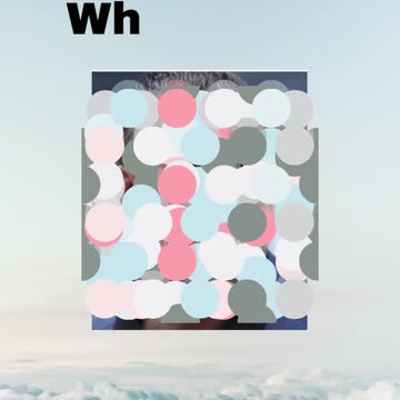 Who Am I Celebrity Challenge 56 #shorts