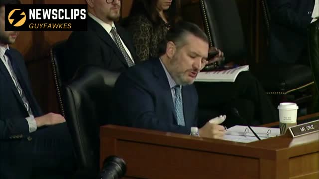 Senator Ted Cruz On Judiciary Nominee Dale Ho 'He Describe Himself As A Wild Eyed Leftist'