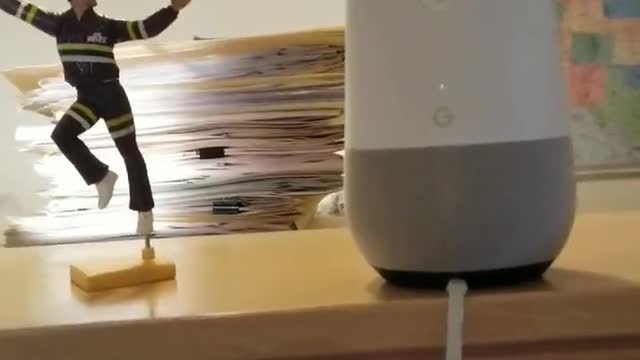 What is a woman? The definitive answer.