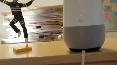 What is a woman? The definitive answer.