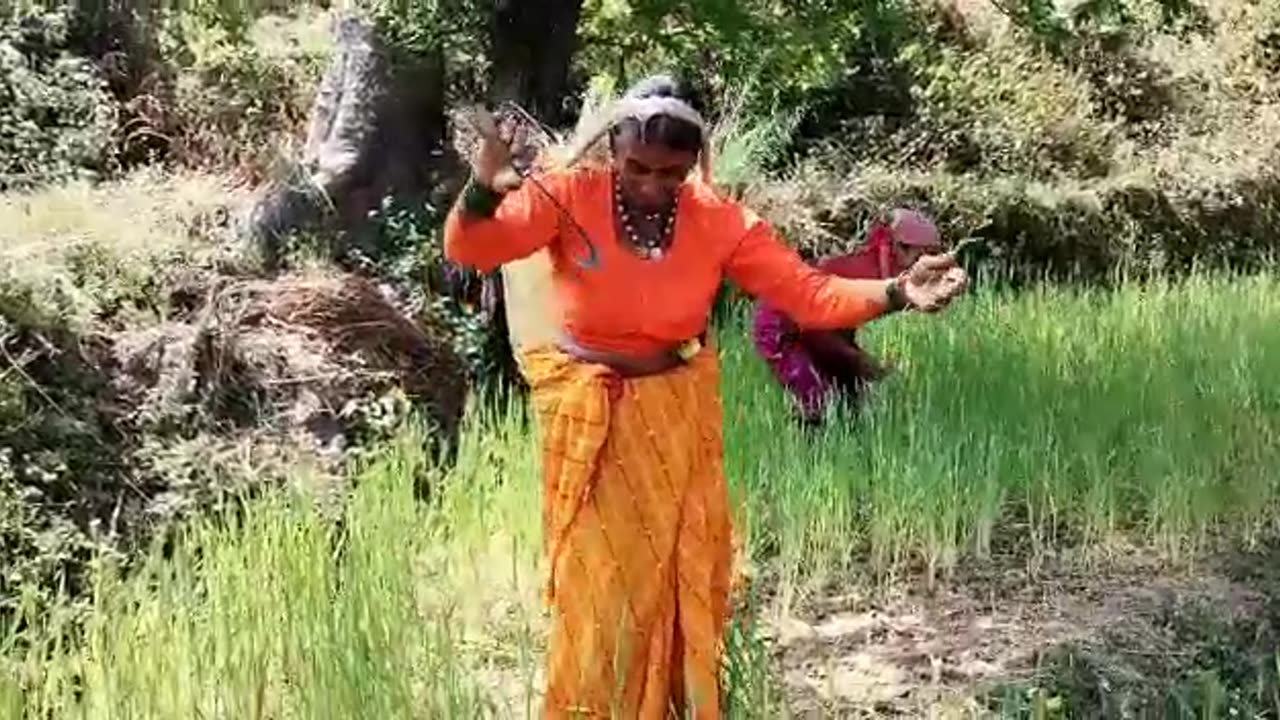 indian women's nice danceing 😍😍