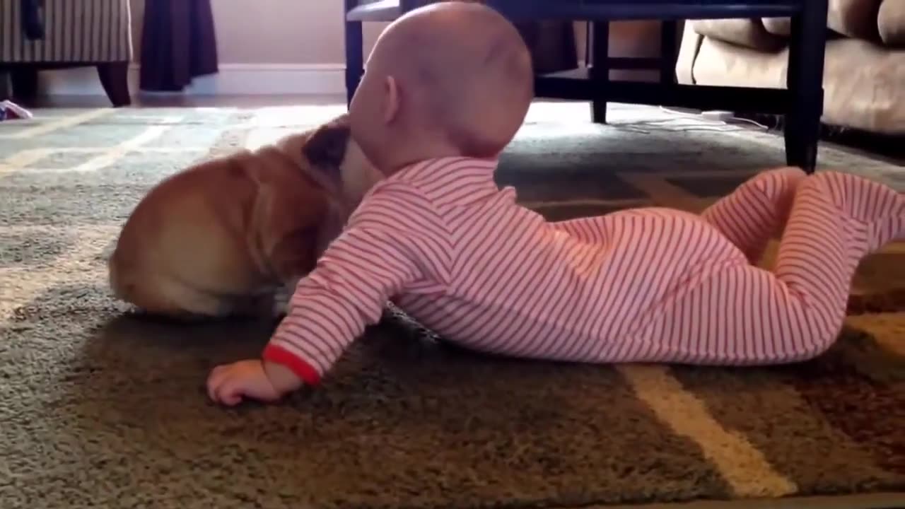 Cute babies with dogs compilation!! 🐾 🐶