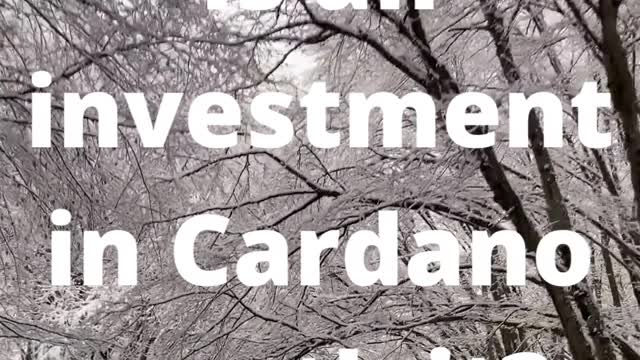 Can Cardano reach 100 $ in the next Bullrun?