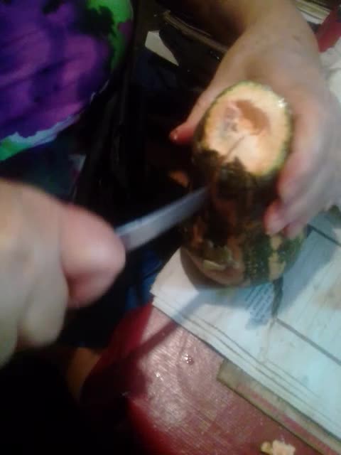 fazendo sopa de abobrinha 1