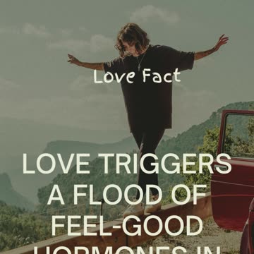 Crush Confessions: My Secret Crush Stor