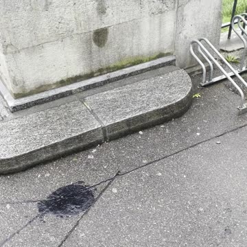 Freedom Cash Geocaching Paper Wallet -