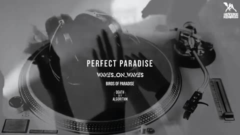 Waves_On_Waves X Birds Of Paradise "Perfect Paradise"