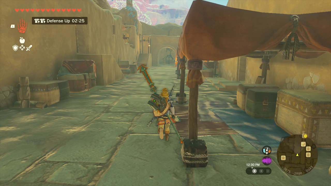 RIJU OF GERUDO TOWN