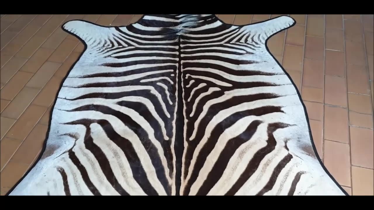 White and Black felted Zebra
