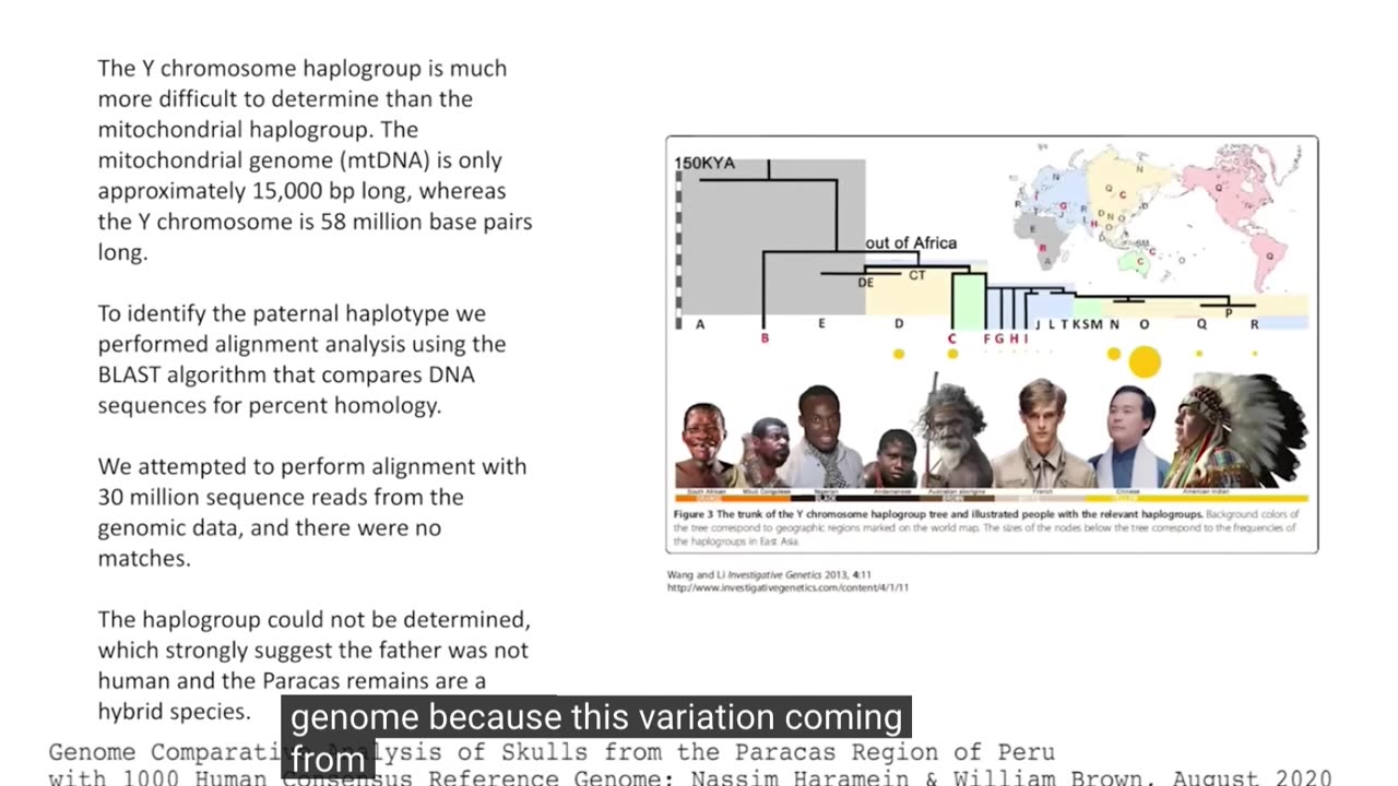 PARACUS PERUVIAN SKULLS DNA ANALYSIS