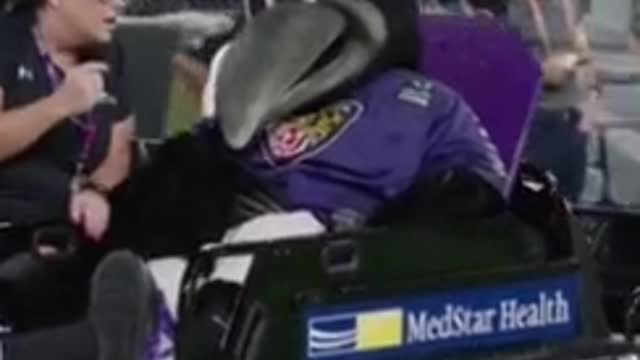 Would hate to be a Ravens Fan right now! #NFL