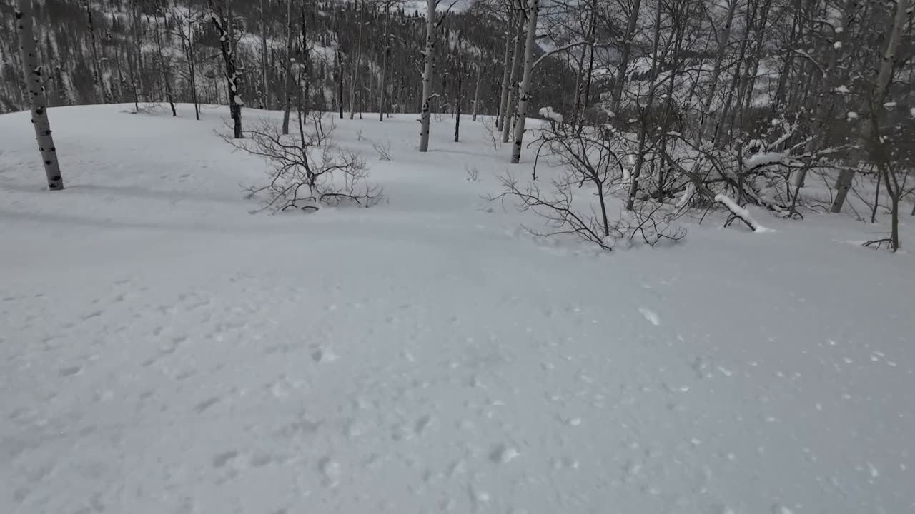feb 23rd Well was the trip over Siberia worth it.