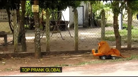 Prank with dogs 😇🤣