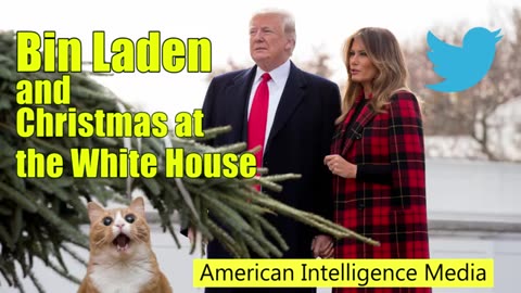 Trump brings attention to Osama Bin Laden