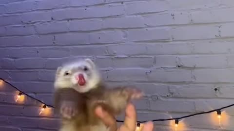 For my Spanish friends 👋☺️