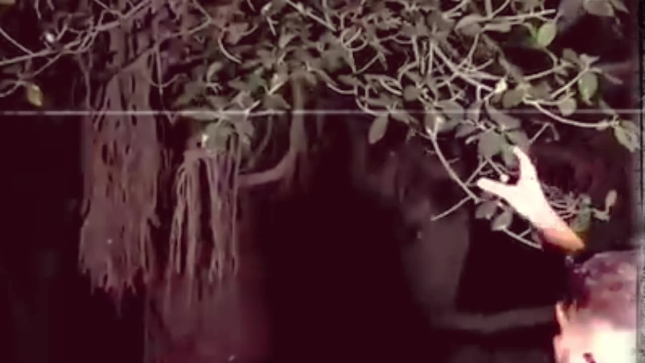 Horror tree