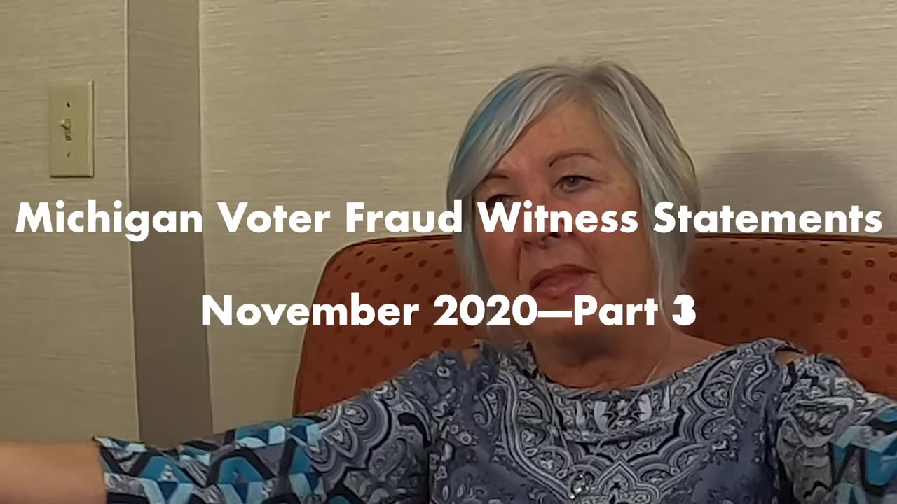 2020 Election - MI Voter Fraud Witness Rose Ann Rudisill Describes Detroit Election Fraud