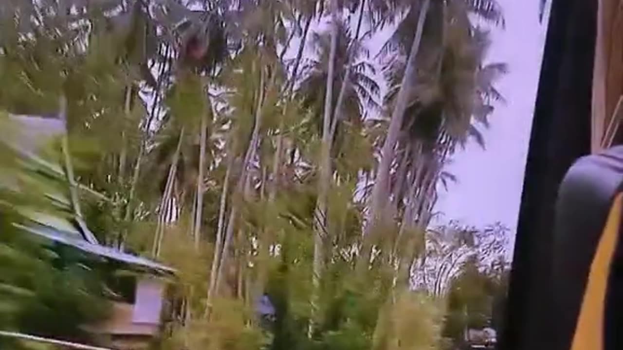 travel videos