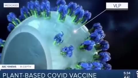 Plant-Based Vaccines