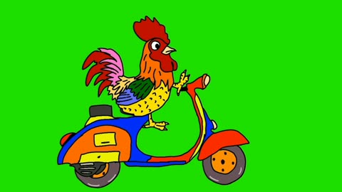 Lucu animasi ayam naik motor