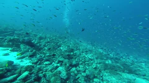 CC : Weh Island with GS Diving.