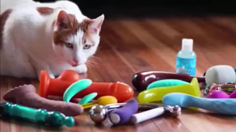 RACCOONING RACCOON - A NECESSIDADE DA ILUSÃO