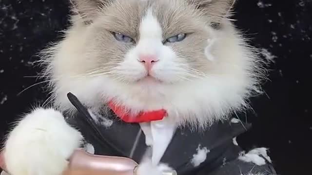 More fun experiments than ever 🙄🙄