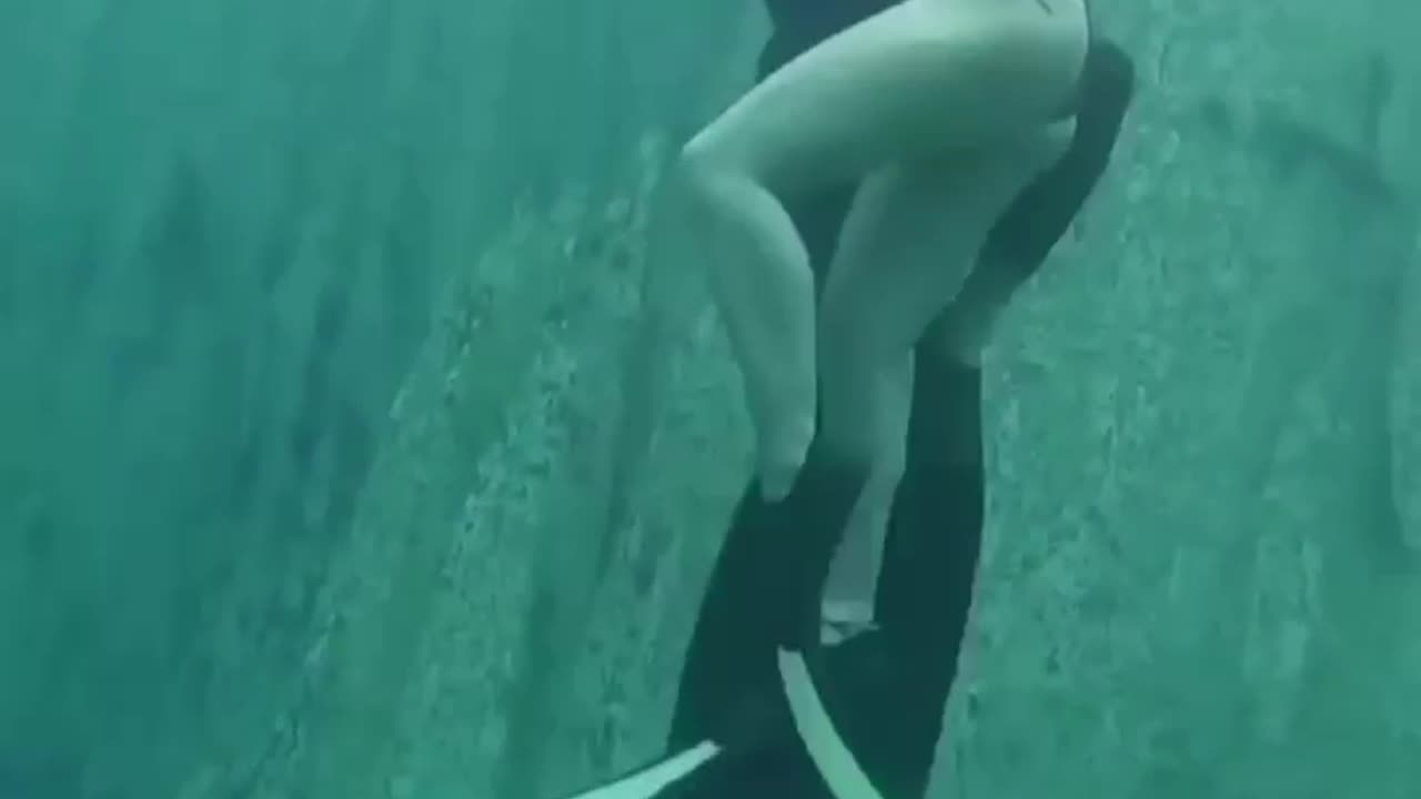 Traveling underwater is a different experience #FunnyVideo