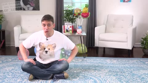 How to Teach your Puppy to INSTANTLY Sit Still and Pay Attention