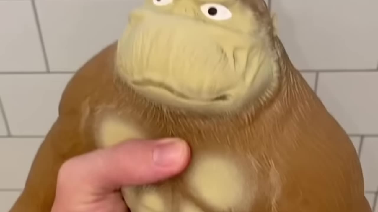 best tik tok jokes