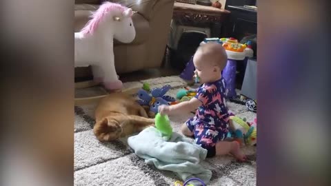 Cutest Babies Play With Dogs And Cats Compilation -- Cool Peachy #cat #cute #kitten #dog