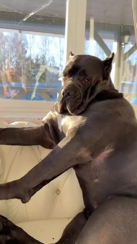 Absorbing some winter sunlight 😊