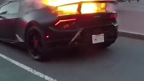 BURNING LAMBO | IG:lucasbrunelle