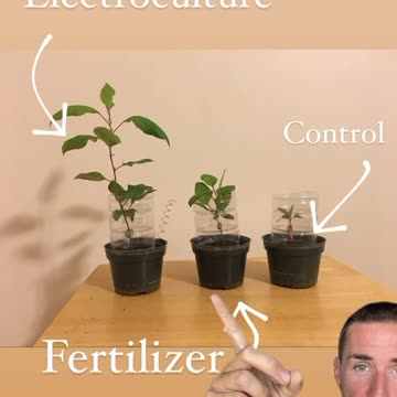 Electro culture vs fertilizer.
