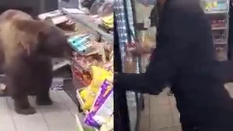 Bear In Store VS Negro In Store. Who is safer and more polite?