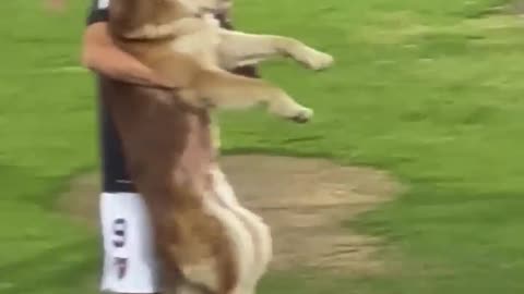 Puppy plays Professional Football ⚽️😍