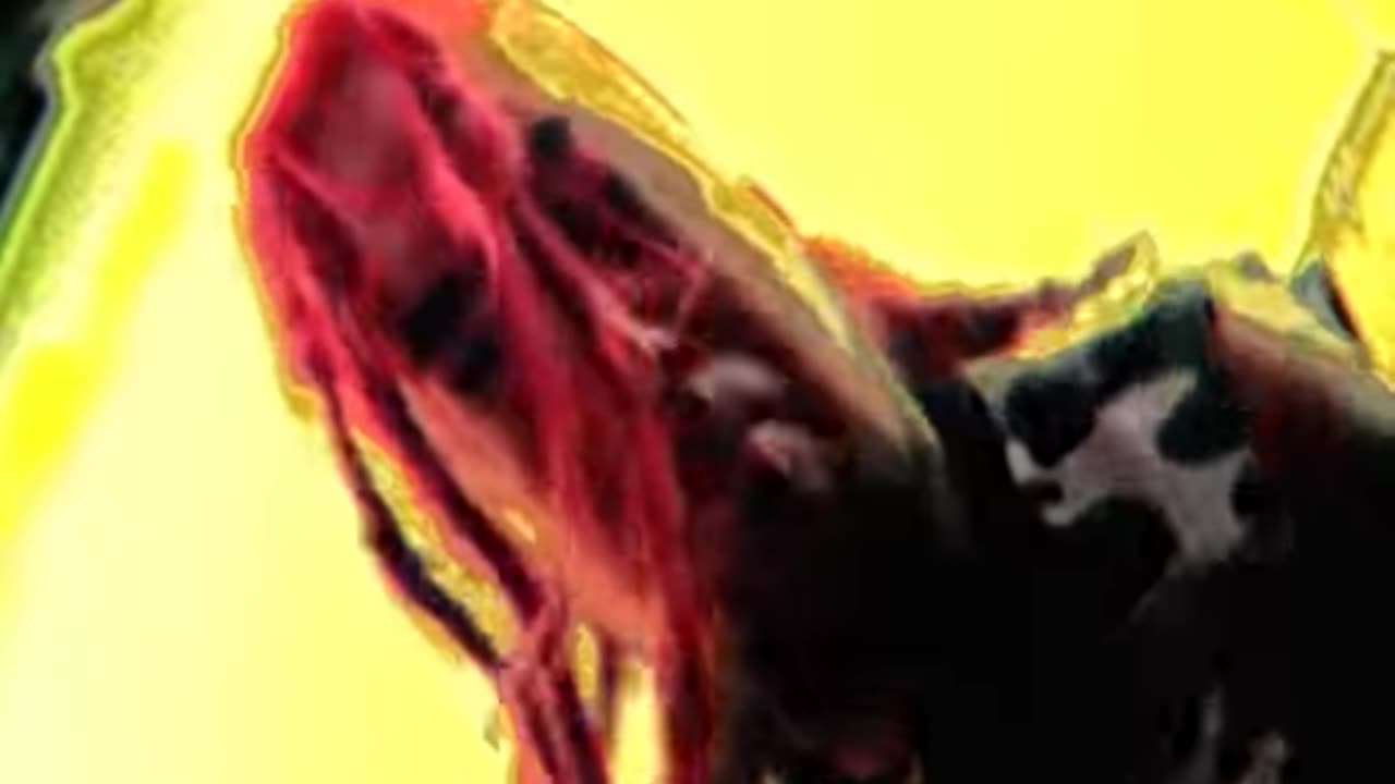 SOULFLY - Back To The Primitive [OFFICIAL VIDEO]