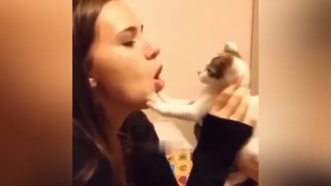 Funniest Animals Video - Best Cats and Dogs Videos