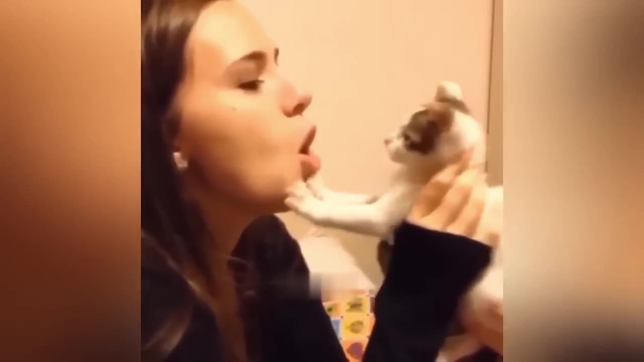 Funniest Animals Video - Best Cats and Dogs Videos