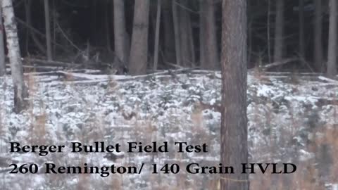 Berger Bullets Field Test