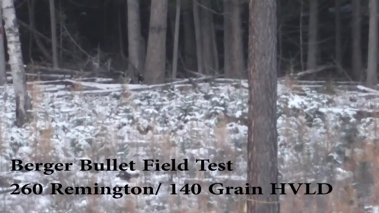Berger Bullets Field Test