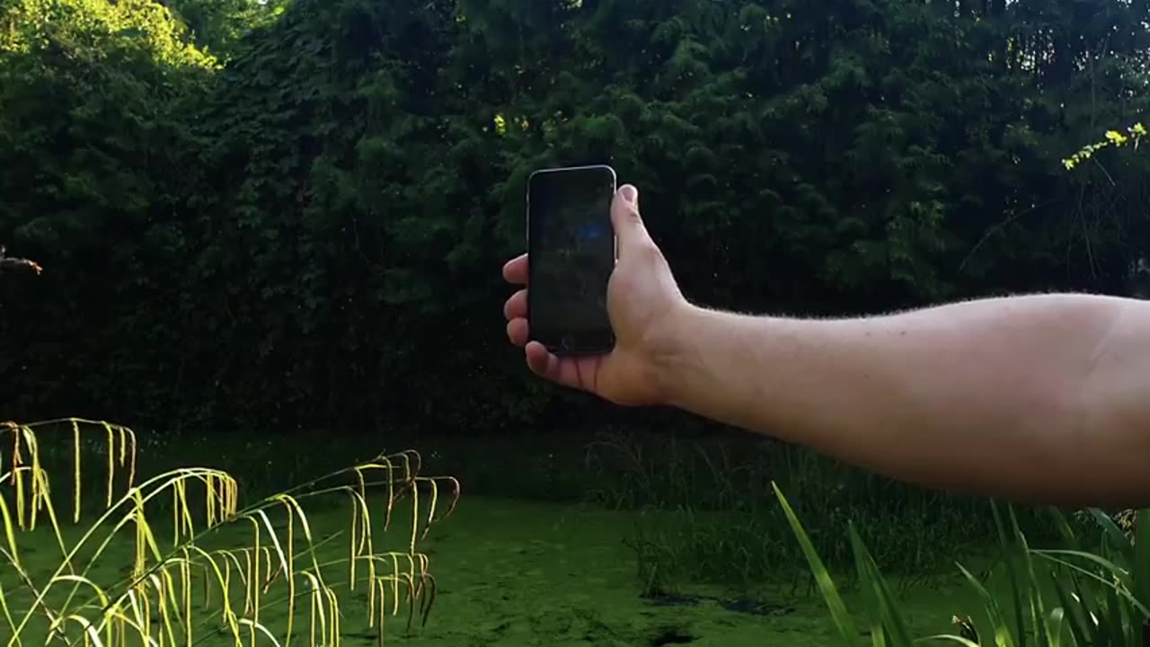 Do 5G Phone Calls Affect Insects？ Watch This Swarm React to an Incoming IPhone Phone Call