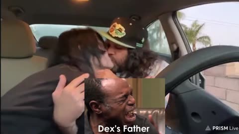 IP2 Stories - Zoe's Father Reacting To Mike Meme