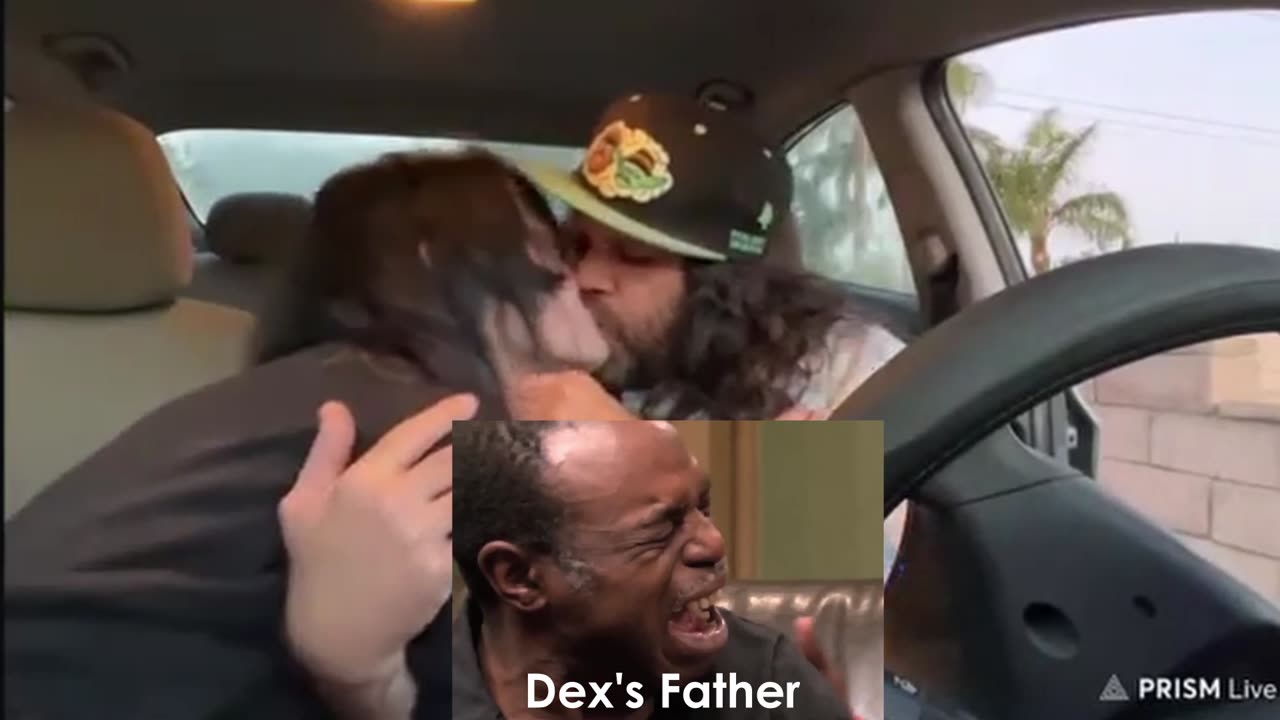 IP2 Stories - Zoe's Father Reacting To Mike Meme