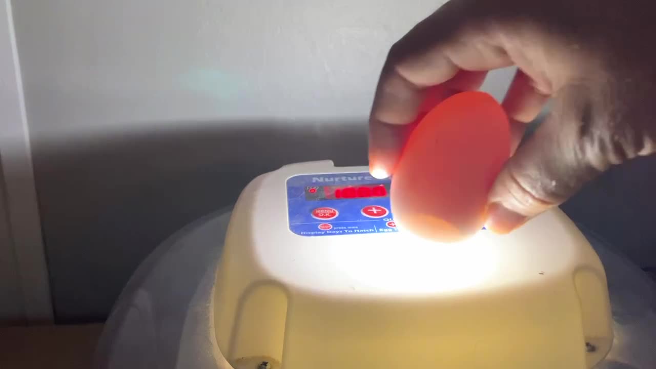 Wait for it