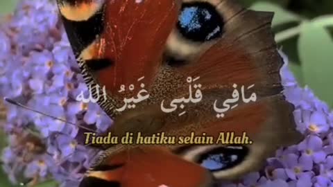 Sholawat